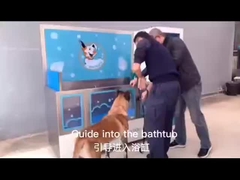 셀프 서비스 개 세탁 시설